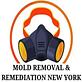 Mold Removal & Remediation New York - Bronx in Williams Bridge - Bronx, NY Fire & Water Damage Restoration