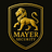 Mayer Security Services in Downtown - Houston, TX