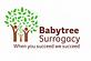 Babytree Surrogacy in Ontario, CA Egg Donation & Surrogacy Clinics