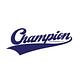 Champion Mechanical in Benbrook, TX Heating & Air-Conditioning Contractors