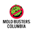 Mold Busters Columbia in Lexington, SC