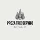 Proza Tree Service in North Tonawanda, NY Lawn & Tree Service