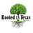 Rooted in Texas Tree Care in Cedar Park, TX