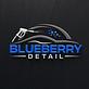 Blueberry Mobile Detailing in La Jolla, CA Car Washing & Detailing