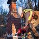 Gutter Chimney Cleaning USA in Agawam, MA Building Cleaning Exterior