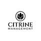 Citrine Management in Irvine, CA Accounting, Auditing & Bookkeeping Services