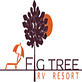 Fig Tree RV Resort in Harlingen, TX Rv Parks