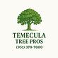 Temecula Tree Pros in Temecula, CA Tree & Shrub Transplanting & Removal