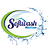 Softwash Nation in Davie, FL