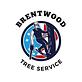 Timbrax Brentwood Tree Service in Brentwood, CA Tree & Shrub Transplanting & Removal