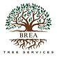 FullHelp Brea Tree Services in Brea, CA Tree & Shrub Transplanting & Removal