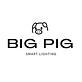 Big Pig Smart Lighting in Mesa, AZ Lighting Contractors