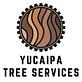 ProntoFix Yucaipa Tree Services in Yucaipa, CA Tree & Shrub Transplanting & Removal