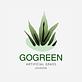 GoGreen Jackson Artificial Grass in Gallatin Street Area - Jackson, MS Lawn Maintenance Services