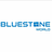 Bluestoneworld in North Little Rock, AR