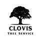 Tree & Shrub Transplanting & Removal in Clovis, NM 88101