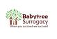 Babytree Surrogacy in El Paso, TX Health & Medical