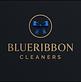 BlueRibbon Cleaners in North Charleston, SC Cleaning Systems & Equipment
