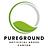 PureGround Canton Artificial Grass in Canton, OH