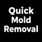 Quick Mold Removal in Madison, NJ Artists Commercial & Graphic