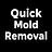 Quick Mold Removal in Madison, NJ