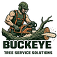 Buckeye Tree Service Solutions in Buckeye, AZ Tree & Shrub Transplanting & Removal