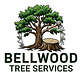 Tree & Shrub Transplanting & Removal in Bellwood, IL 60104