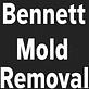 Bennett Mold Removal in Bayville, NJ Plastic Mold Manufacturers