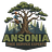 Ansonia Tree Service Experts in Ansonia, CT