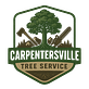 Carpentersville Tree Service in Carpentersville, IL Tree & Shrub Transplanting & Removal