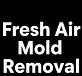 Fresh Air Mold Removal in Parsippany, NJ Bee Control & Removal Services