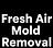 Fresh Air Mold Removal in Parsippany, NJ