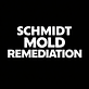 Schmidt Mold Remediation in Paramus, NJ Molds