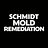 Schmidt Mold Remediation in Paramus, NJ