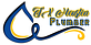 TX Houston Plumber in Bellaire - Houston, TX Plumbing & Sewer Repair