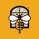 Bumble Bee Blinds of Sioux Falls in Sioux Falls, SD Windows