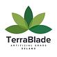 TerraBlade Delano Artificial Grass in Delano, CA Artificial Grass