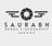 Saurabh Drone Video service in NewDelhi, IL