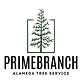 PrimeBranch Alameda Tree Service in Alameda, CA Tree & Shrub Transplanting & Removal