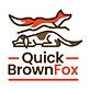 Quick Brown Fox in Riverside, RI Web Site Design & Development