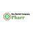Bus Rental Company Pharr in Pharr, TX