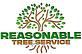 Reasonable Tree Service in Ellijay, GA Tree & Shrub Transplanting & Removal