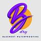 BWDry Basement Waterproofing in Central Office - Richmond, VA Waterproofing Contractors