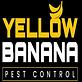 Yellow Banana Pest Control in Edgewood - Fort Lauderdale, FL