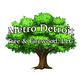 Metro Tree & Firewood in Warren, MI Tree & Shrub Transplanting & Removal