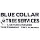 Blue Collar Tree Service in Branford, FL Tree & Shrub Transplanting & Removal