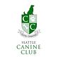 Seattle Canine Club - South Lake Union in Downtown - Seattle, WA Pet Grooming & Boarding Services