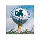 golf swing lessons austin tx in Austin, TX Golf Equipment & Supplies