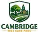 Cambridge Tree Care Pros in Area Iv - Cambridge, MA Tree & Shrub Transplanting & Removal