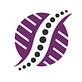 Spine and Pain Clinic Of Texas Grand Prairie in Grand Prairie, TX Physicians & Surgeons Pain Management